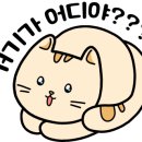 스마트폰 1인 미디어 제작 네이버블로그