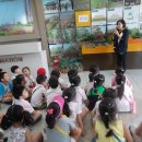 새빛솔금유치원 이미지