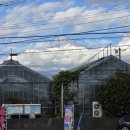 유산주유소 | 찾아 떠난 시즈오카 2박 3일 3.3 (후지산 세계문화유산센터, 후지산 스타벅스, 메가동키, 시즈오카공항...