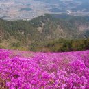 천주산 등산로 이미지