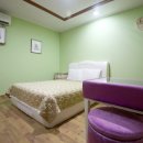 팜스프링 이미지