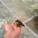 무주짓수&다이어트 선학동 선학역점 이미지