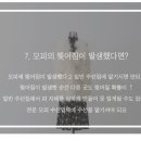 동성세탁소 이미지