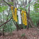 평안산(平安山162m).삼태봉(134m).장군봉(將軍峰128m).매봉(183m).신기산(276m).용구레미봉(173m)/충남공주 이미지