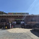 밥집] 비발디파크맛집 추천, 친정엄마도 반한 곤드레 영양돌솥밥 20첩 반상 후기 (feat. 홍천현지인맛집) 🍲