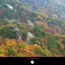 서부초등학교삼거리 이미지