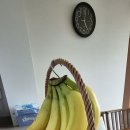 바나나 보관법~♡ 이미지