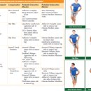 보리스 짐 이미지