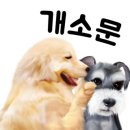 비지어스펫