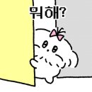 궁전식육식당 이미지