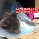 로하스 동물병원 이미지