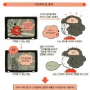 서브리미널 효과(subliminal effect) 이미지
