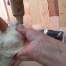 냥이멍이세상 이미지