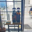(주)비젼유통 이미지