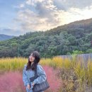 조형물C | 경기도 단풍 구경 명소 추천 • 가을 화담숲 이용 후기 • 화담숲 주차 지각입장