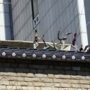 혜명단청박물관 이미지