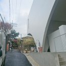 개치골 | 241126 / 241227 아스테룸 433-십(10) 카페 후기