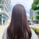 Salon de hair 꾸밈 | 밴쿠버 미용실 Salon de Nuvida 후기