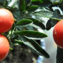 송곡주유소 이미지