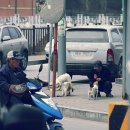 백암동물병원 이미지