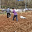 정만목장 Daum카페