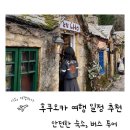 봄꽃힐링투어 | 여자 혼자 떠나는 후쿠오카 일정 추천! 안전한 숙소와 버스 투어