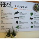 자연담은 이미지