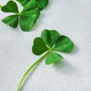 롯데마트 판교점 이미지