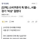 [단독] 소비쿠폰이 독 됐나…서울·경기 '비상' 걸렸다 이미지