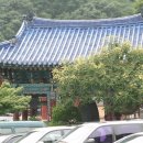 영진식당 이미지