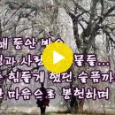 ♤ 서울대학교 이왕재 박사가 자기 가족의 경험담을 직접 쓴 글 외1 이미지