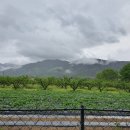 순농장 티스토리