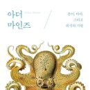 몸의형태 이미지