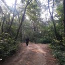 깍꼬뽁꼬 이미지