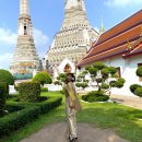 (주)파고다택시 이미지