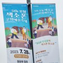 포항 색소폰 문화예술축제 이미지