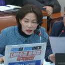 별개 이미지