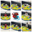 THE바른태권도 이미지