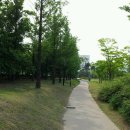 한밭대로(유성-16) 네이버블로그