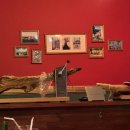 엘 그라나이노 이미지