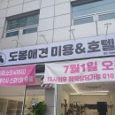 도봉 애견 미용앤호텔 이미지