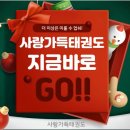 사랑가득태권도장 이미지