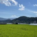 숙이농장 이미지