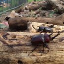 참살이영농조합법인 이미지