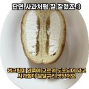 지에스25천안목천점 이미지