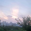 시지에프엠치과병원 네이버블로그