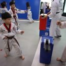 고려용호태권도 이미지