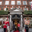 HOTEL. THE STAR 이미지