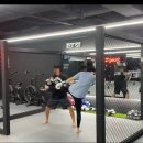 엑스퍼트짐 교대점 | 교대킥복싱 교대복싱 엑스퍼트짐 후기
