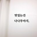 나나무NANAMU